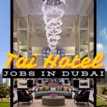 Taj Hotel Jobs In Dubai 2024: Start Your Hospitality Career